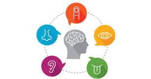 experiencias-sensoriales-marketing-emocional-arquitectos